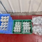 Norden Nordenmatic 700 HA - Remplisseuse de tubes