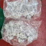 Norden Nordenmatic 700 HA - Remplisseuse de tubes